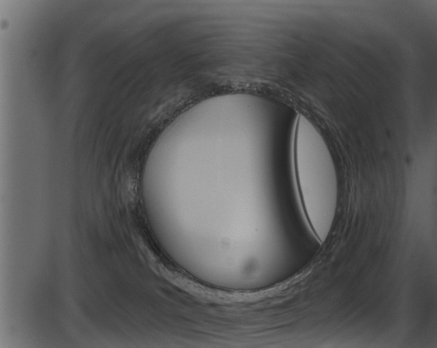 X0000086220039200703291015