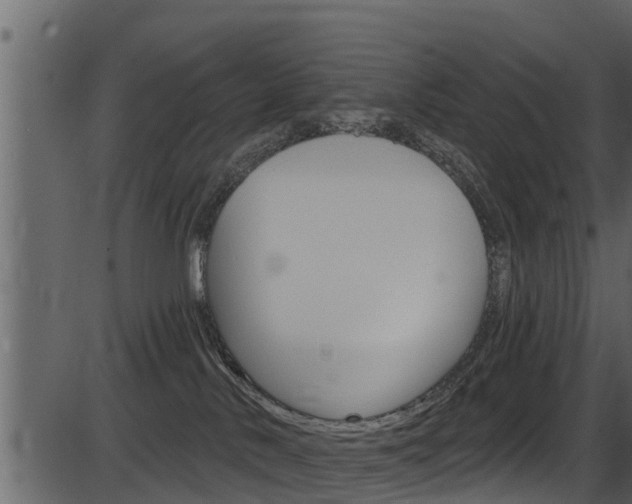X0000086220042200703291015