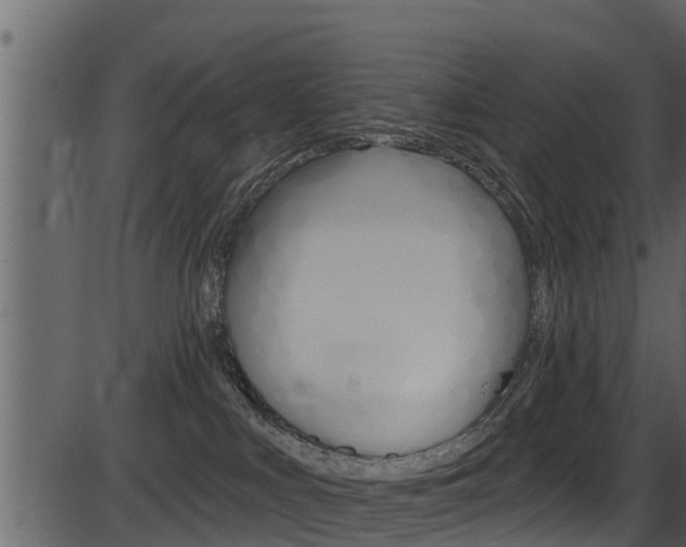 X0000086220043200703291015