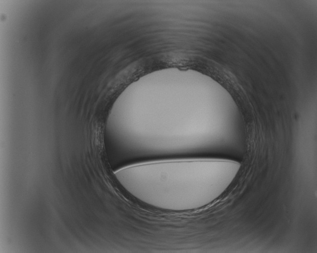 X0000086220044200703291015