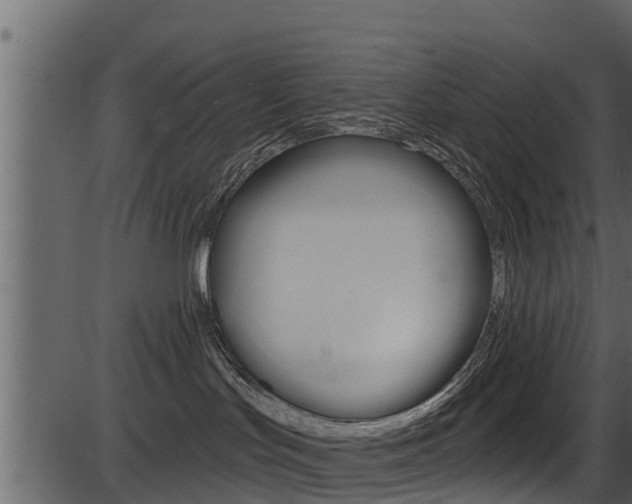 X0000086220047200703291015