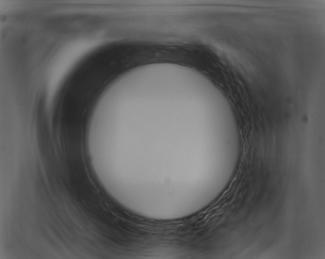 X0000086220052200703291014
