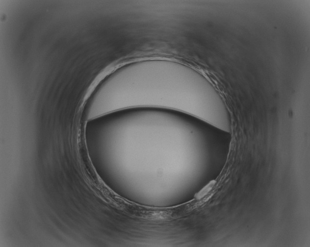 X0000086220056200703291014