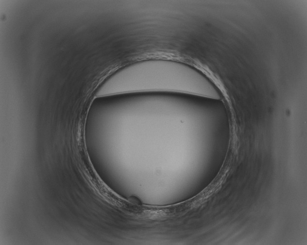 X0000086220057200703291014
