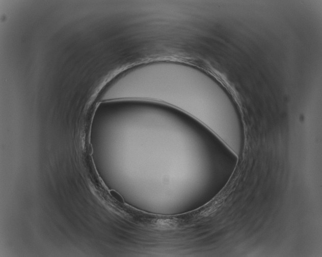 X0000086220060200703291014
