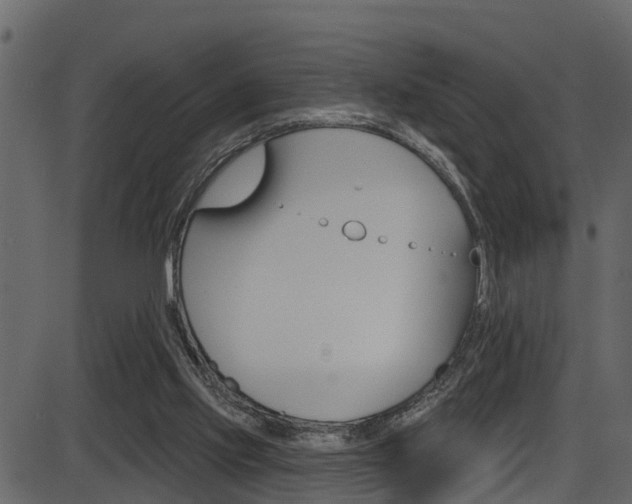 X0000086220061200703291014