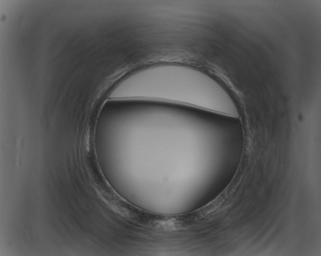 X0000086220068200703291014