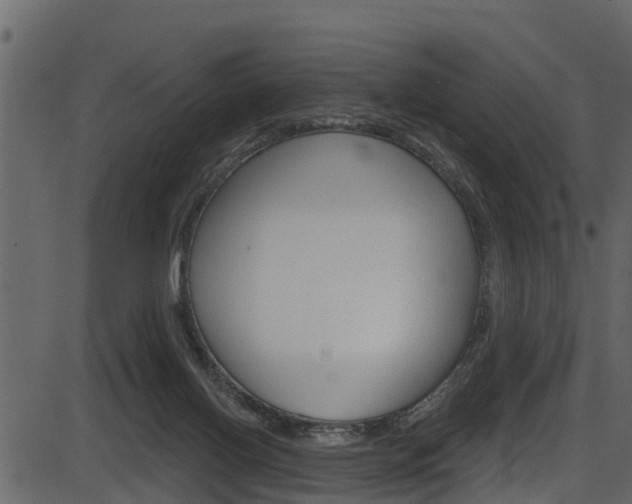 X0000086220070200703291014