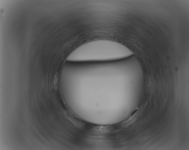 X0000086220082200703291015