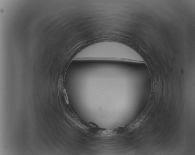 X0000086220092200703291015