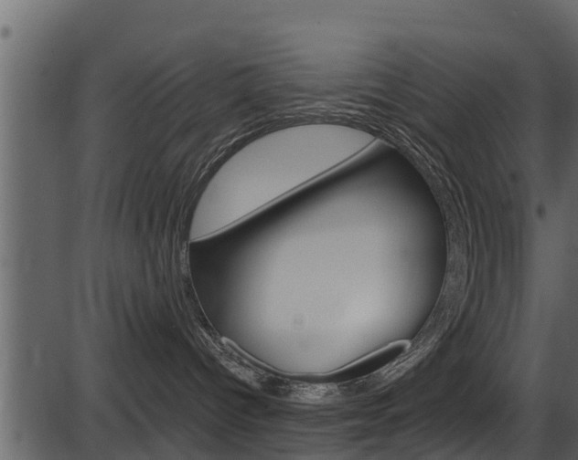 X0000086220096200703291015