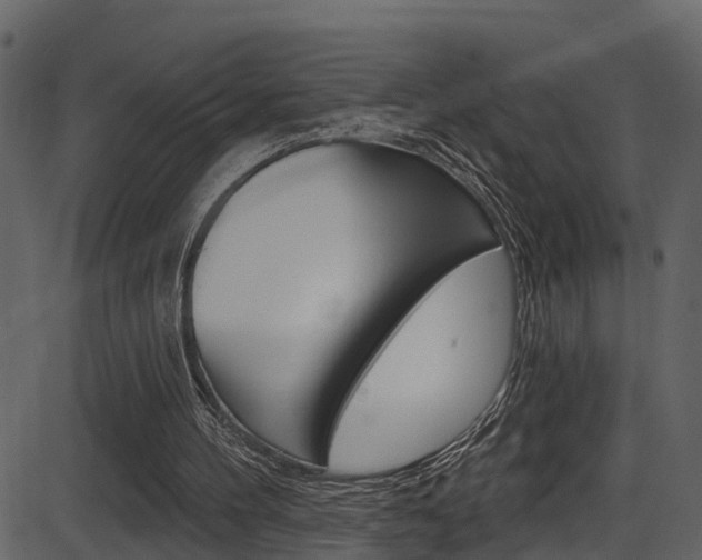 X0000086220100200703291014