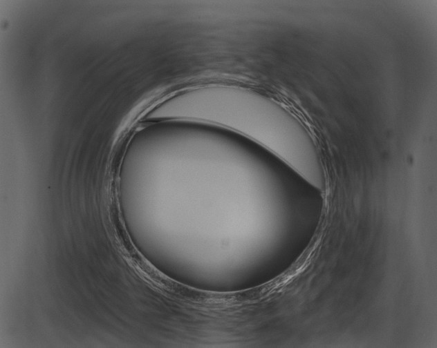 X0000086220101200703291014