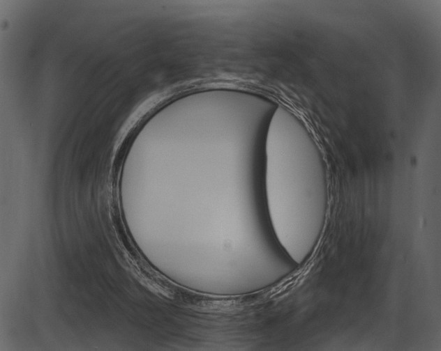 X0000086220102200703291014