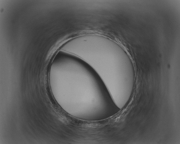 X0000086220103200703291014