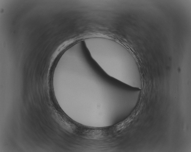X0000086220104200703291014