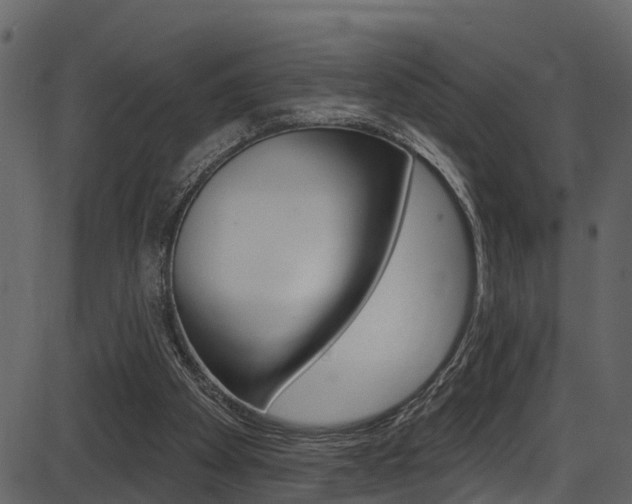 X0000086220105200703291014