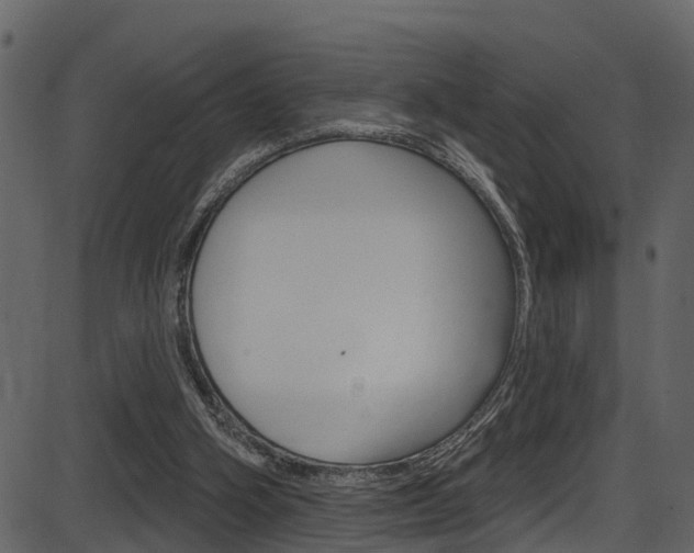 X0000086220106200703291014