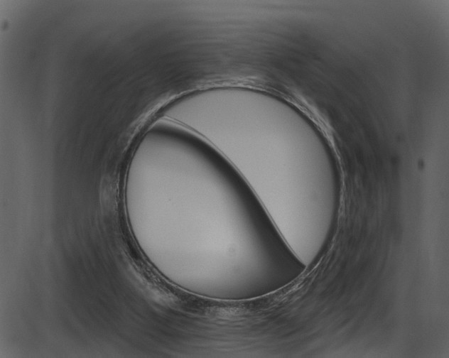 X0000086220107200703291014