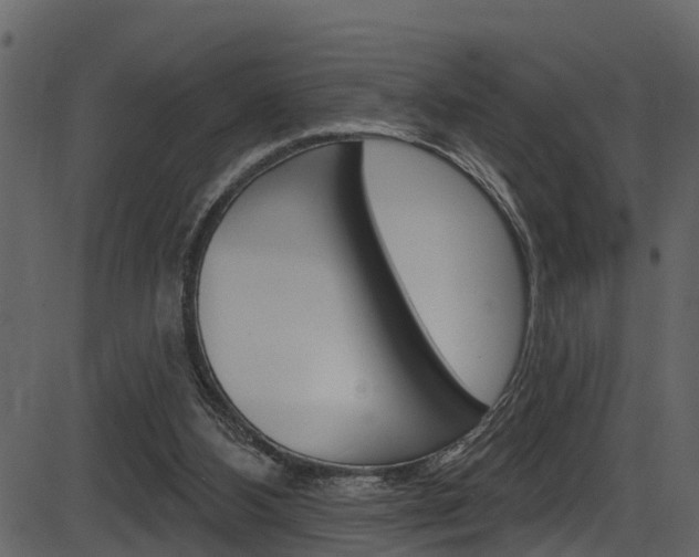 X0000086220108200703291014