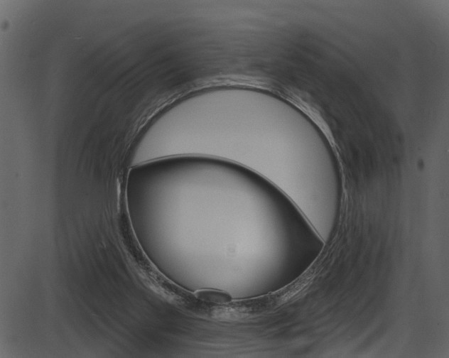 X0000086220109200703291014