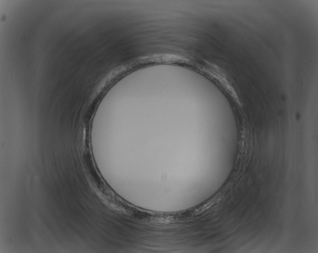 X0000086220110200703291014