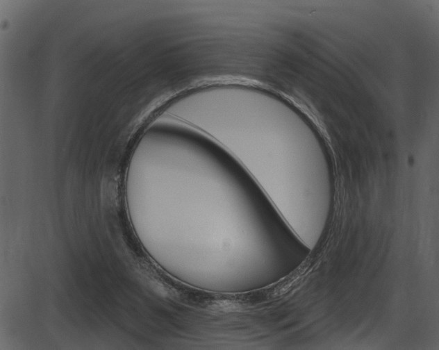 X0000086220111200703291014