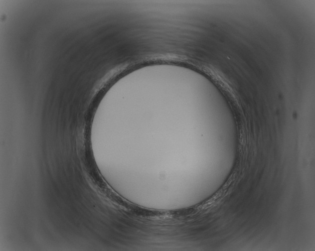 X0000086220112200703291014