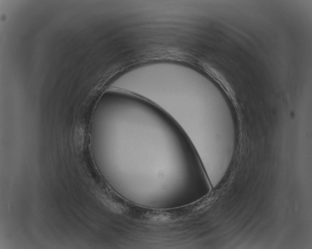 X0000086220113200703291014