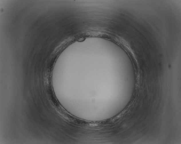 X0000086220114200703291014