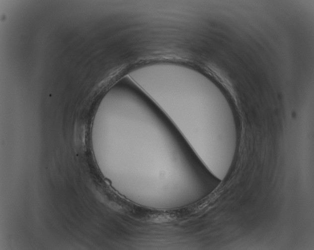 X0000086220115200703291014
