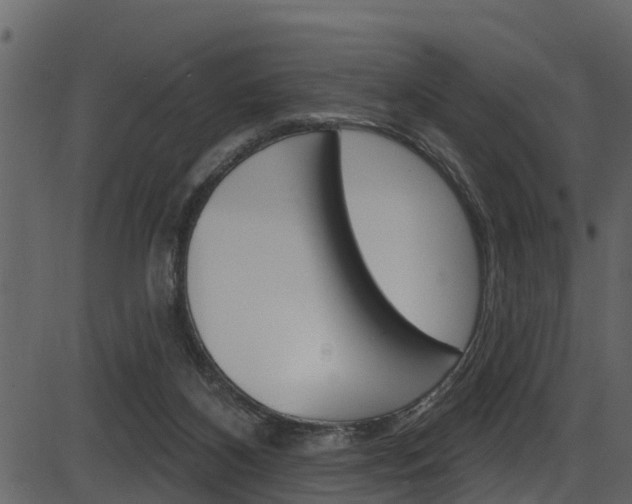 X0000086220116200703291014