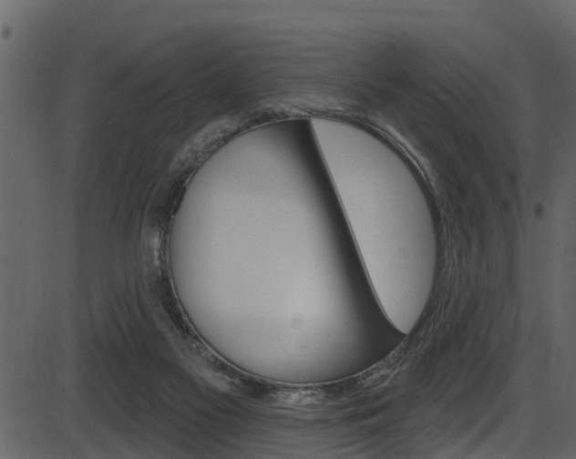 X0000086220117200703291014