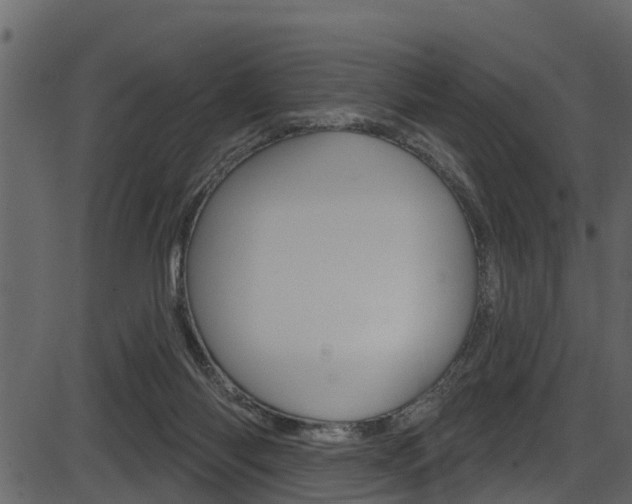 X0000086220118200703291014
