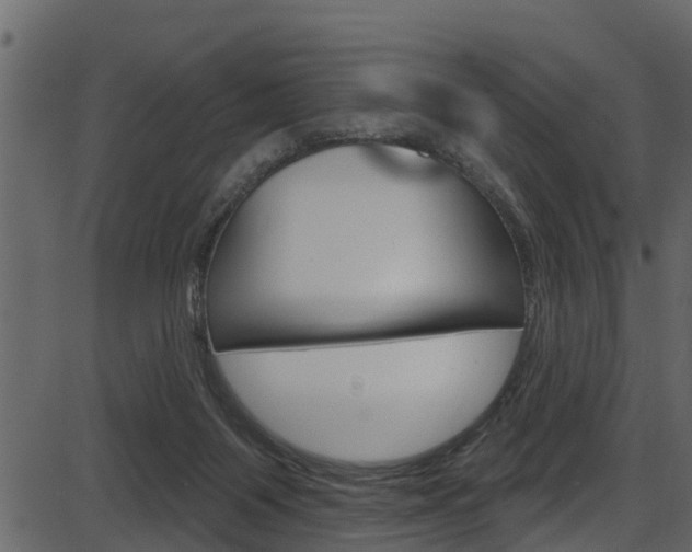 X0000086220119200703291014
