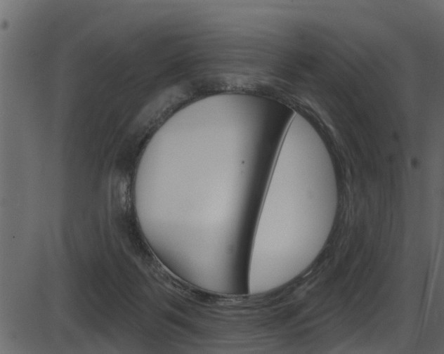 X0000086220123200703291014