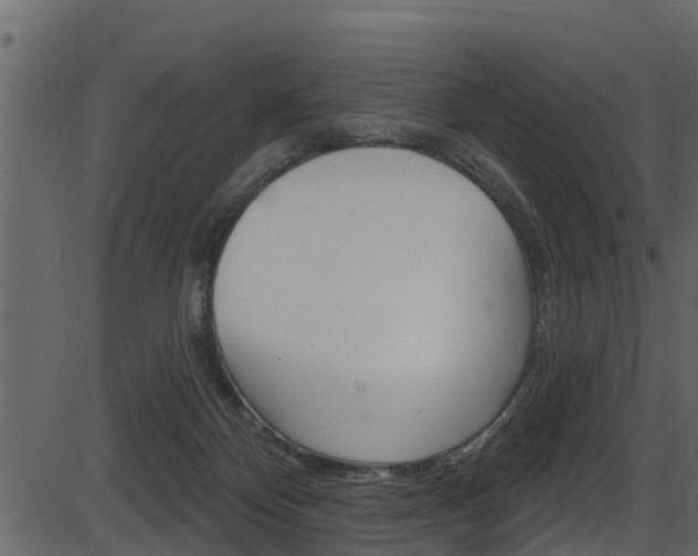 X0000086220124200703291014
