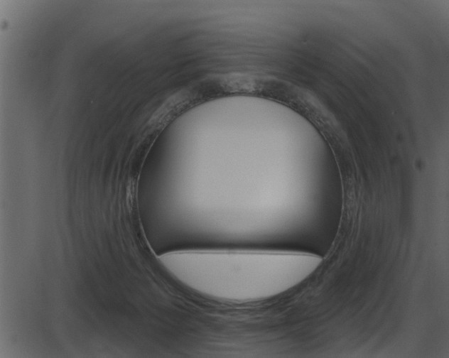 X0000086220125200703291014