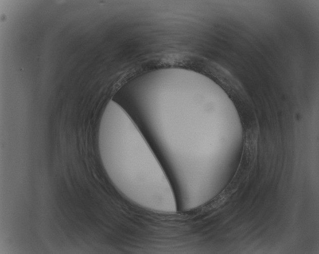 X0000086220127200703291013