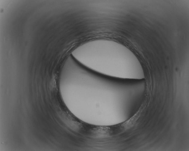 X0000086220128200703291013