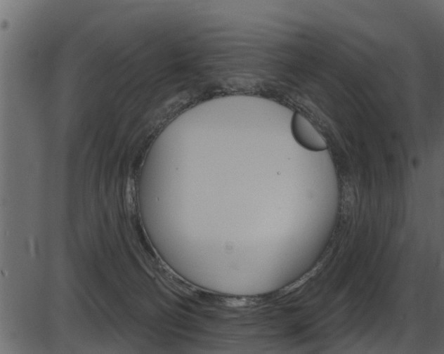 X0000086220130200703291013