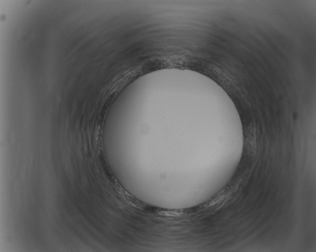 X0000086220139200703291013
