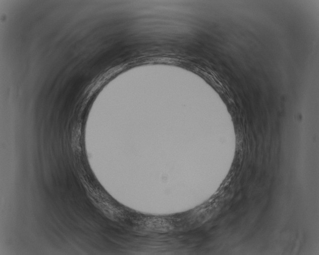 X0000086220146200703291012