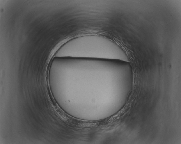 X0000086220147200703291012