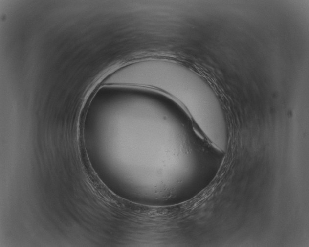 X0000086220148200703291012