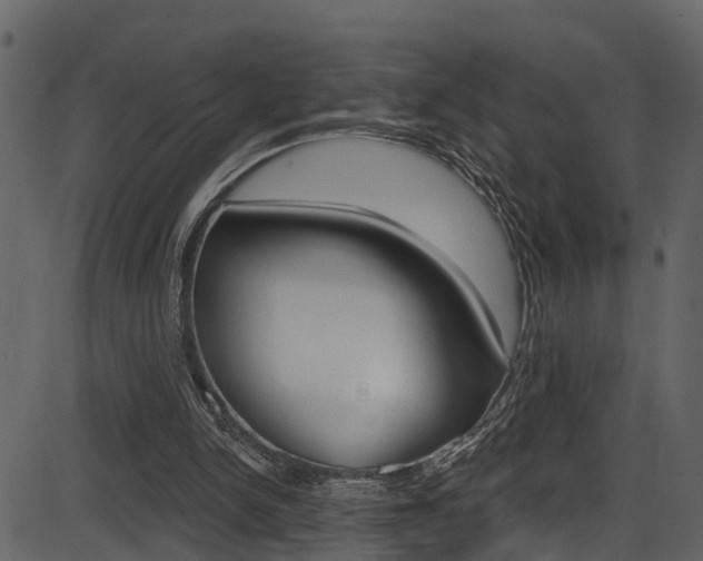 X0000086220150200703291012
