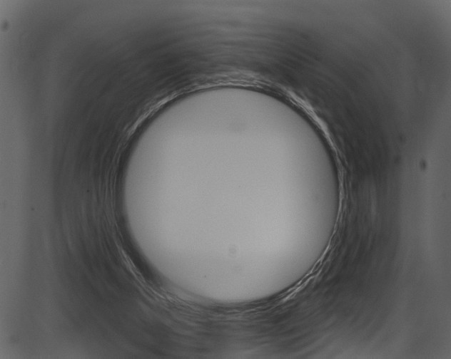 X0000086220154200703291013