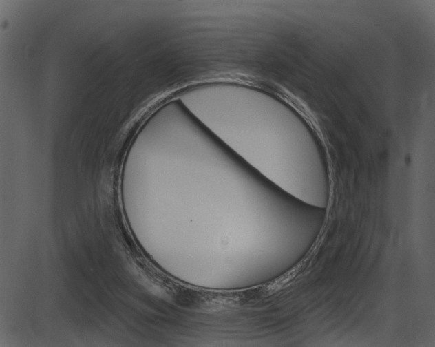 X0000086220155200703291013