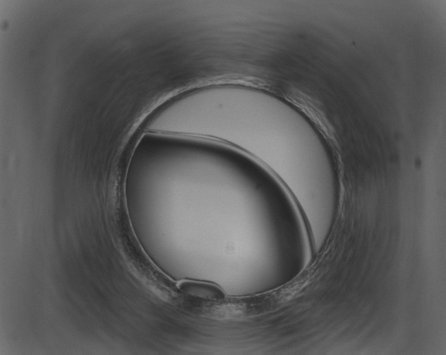 X0000086220156200703291013