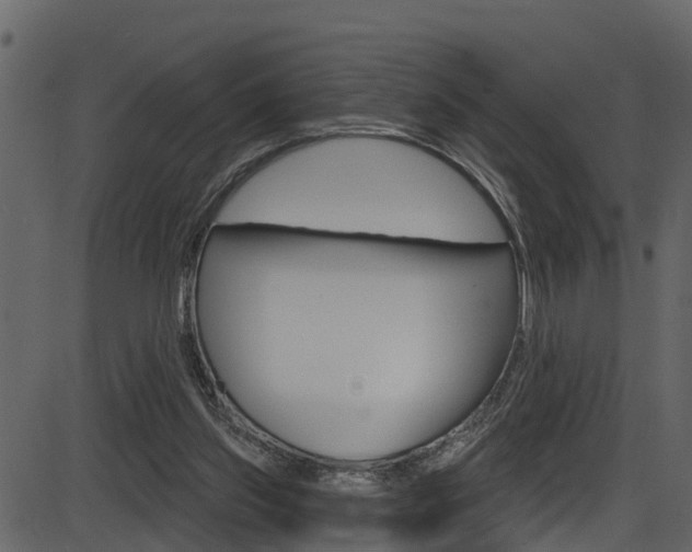 X0000086220157200703291013